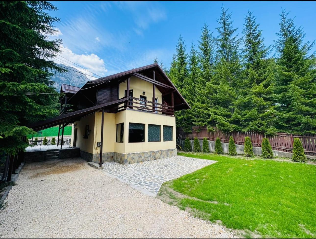 Ollie'S Mountain Chalet Buşteni Buitenkant foto