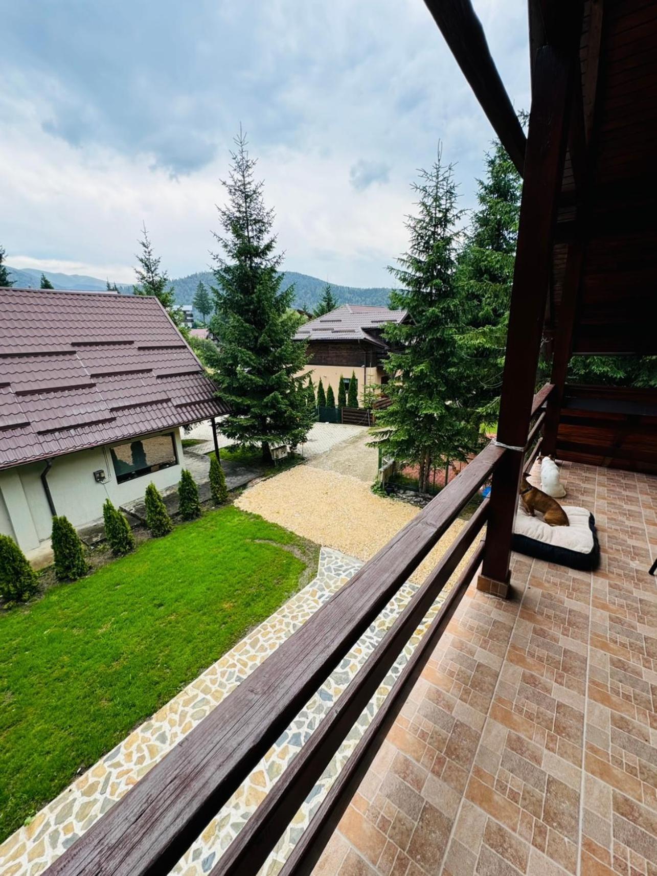 Ollie'S Mountain Chalet Buşteni Buitenkant foto