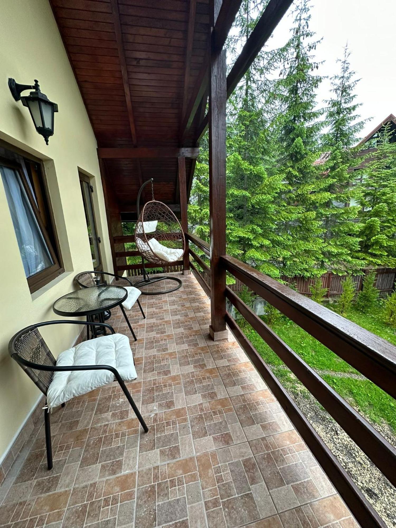 Ollie'S Mountain Chalet Buşteni Buitenkant foto