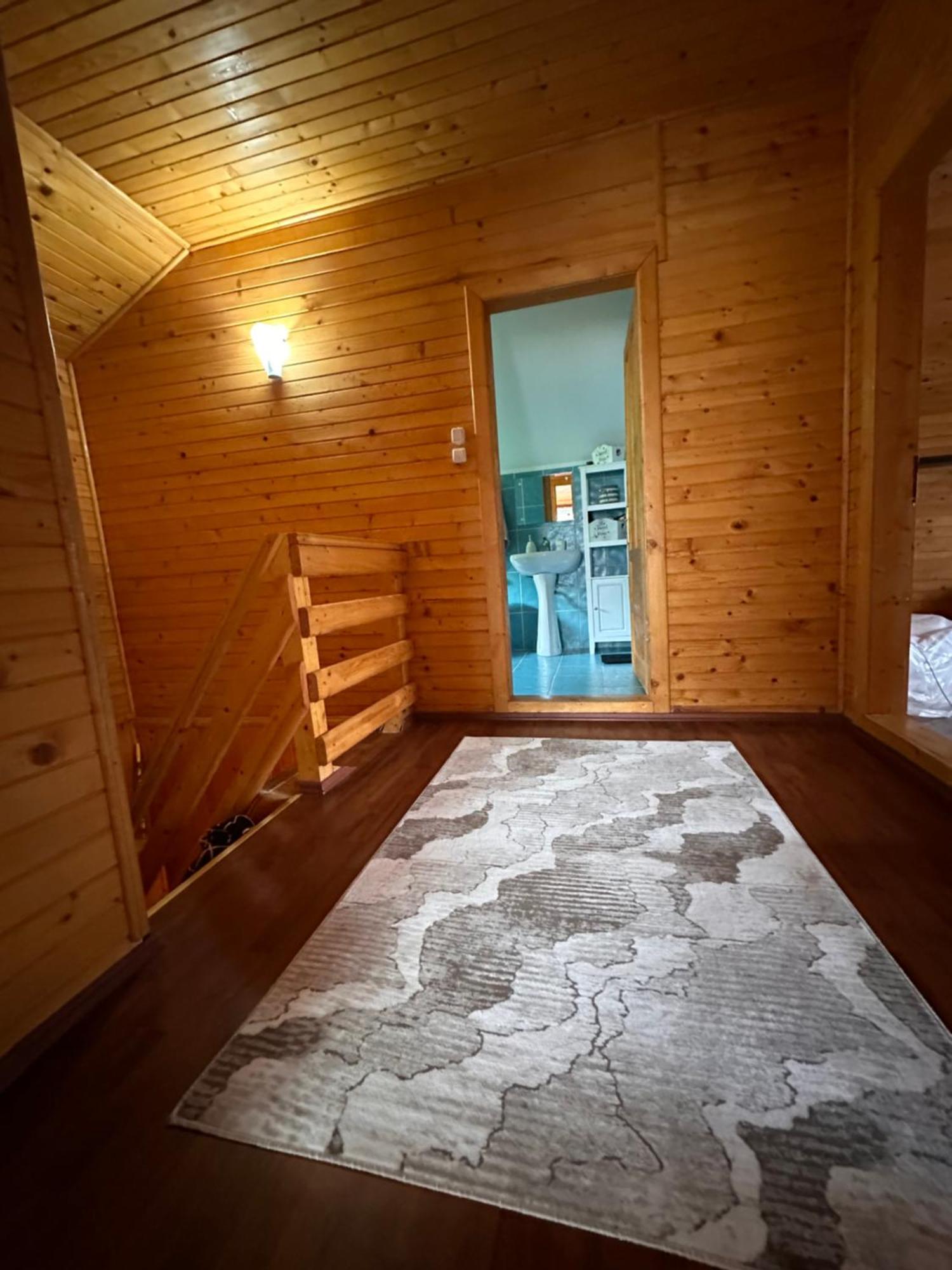 Ollie'S Mountain Chalet Buşteni Buitenkant foto